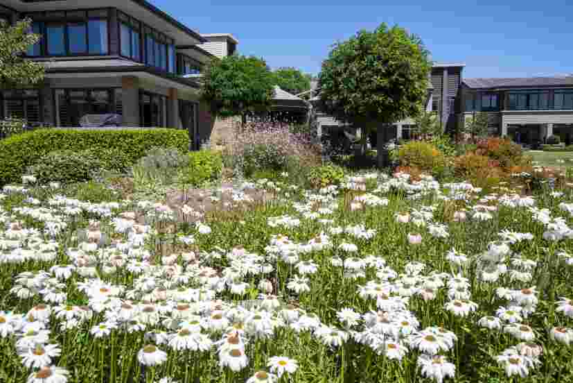 Holly Lea Village's Award-Winning Gardens