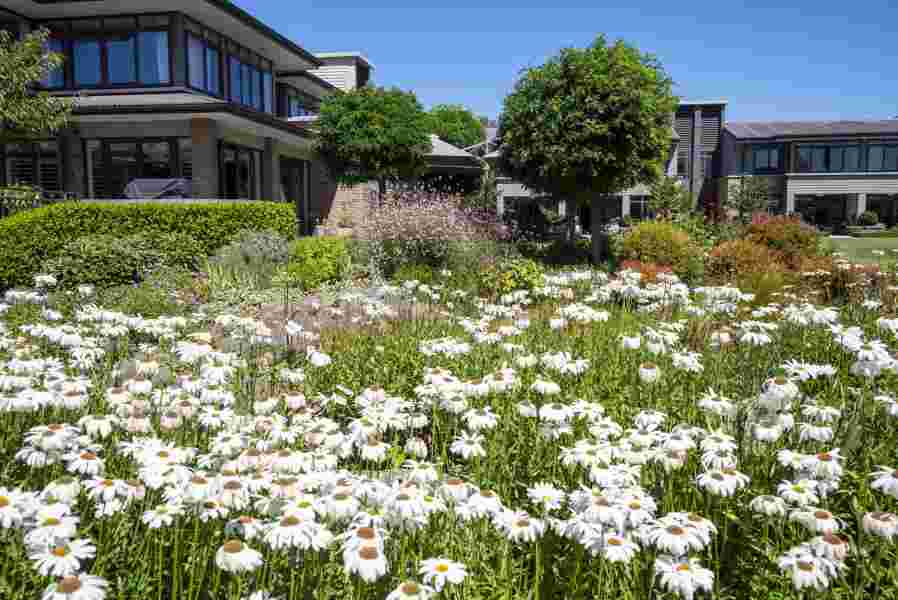 Holly Lea Village's Award-Winning Gardens
