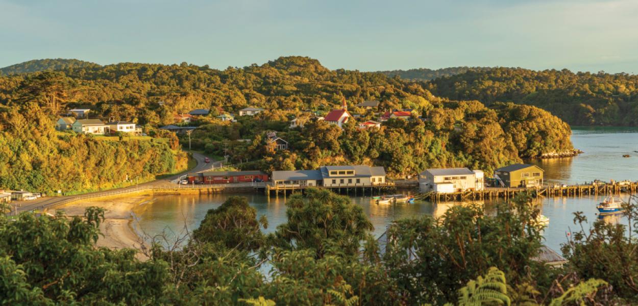 Stewart Island Secrets